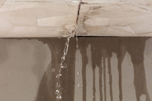 Professional Water Damage Inspection technician working in Tebbetts, MO